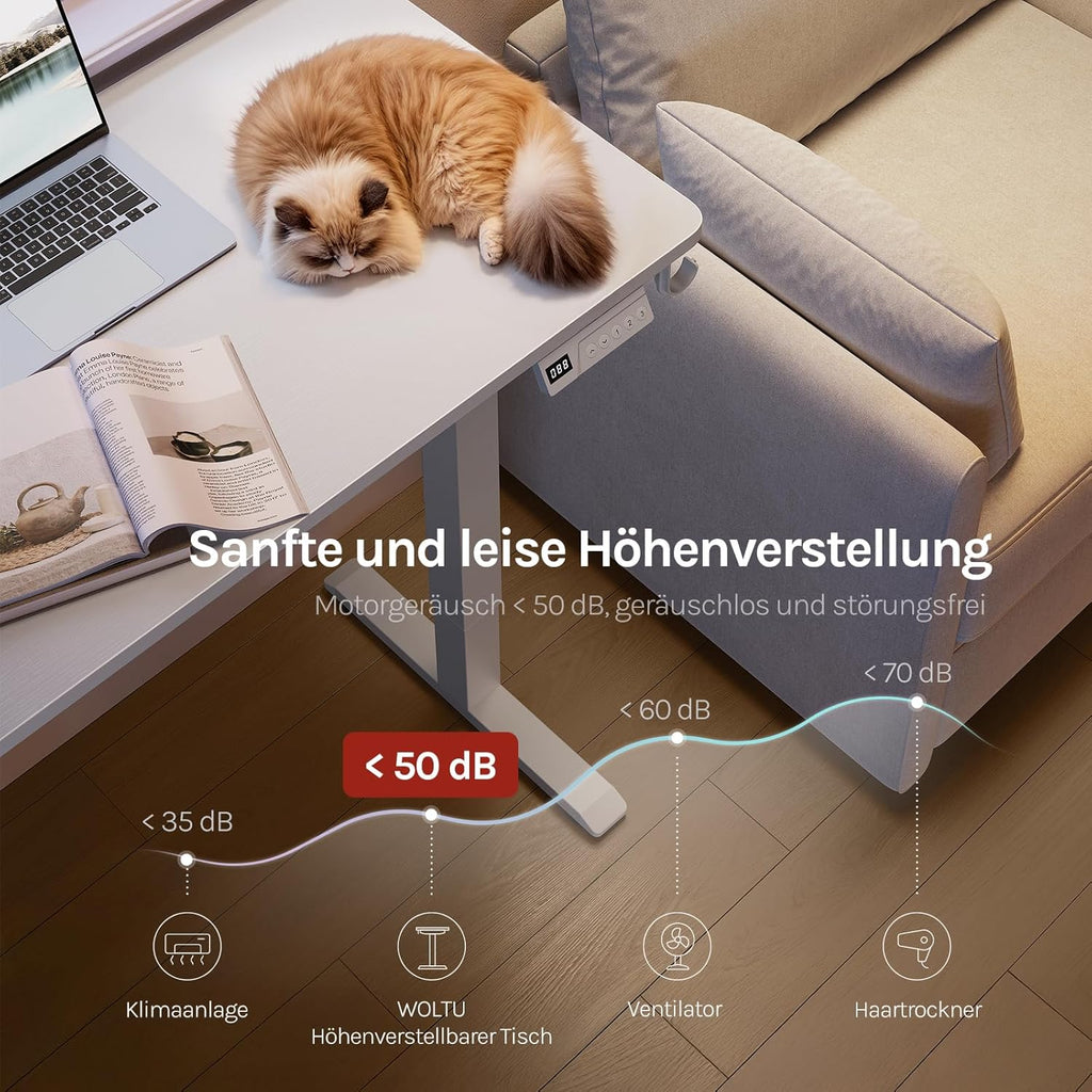 WOLTU Height-Adjustable Electric Desk with Memory Function & Collision Protection, 80 kg Load Capacity, Quiet, Computer Desk for Home Office, Study, 80 x 48 cm, White